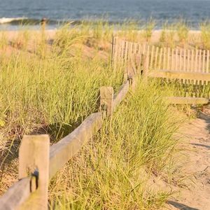 Meet your Posher, Sophia